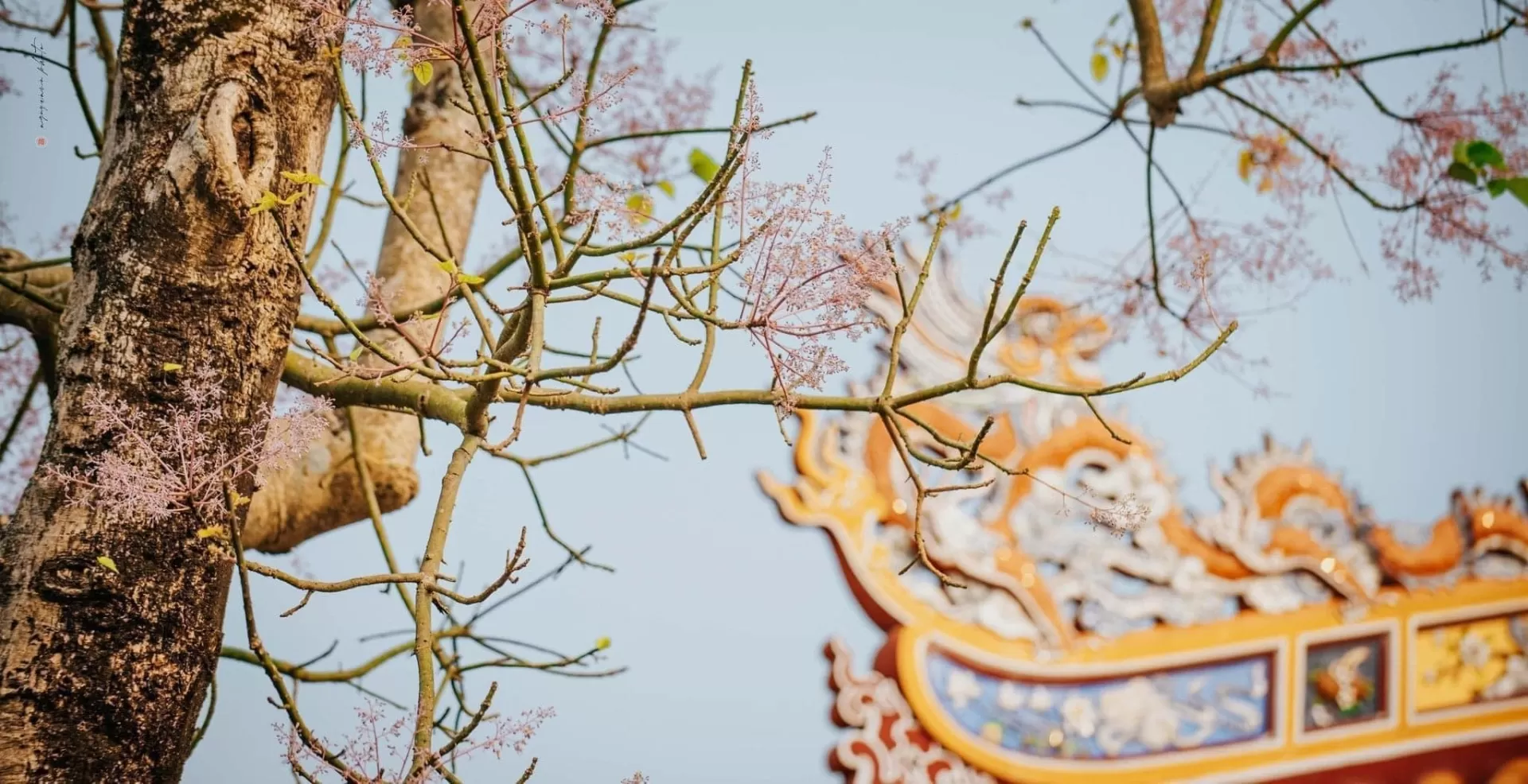 Tour In Central Vietnam – Danang – Hoi An – Hue