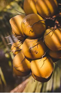 HOIAN ANCIENT TOWN  - 1 DAY TOUR EXTENSION