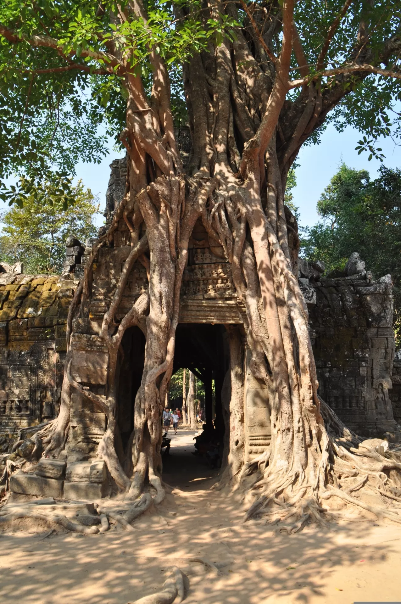 05 Days 04 Nights Cambodia Tour Phnom Penh – Siem Reap